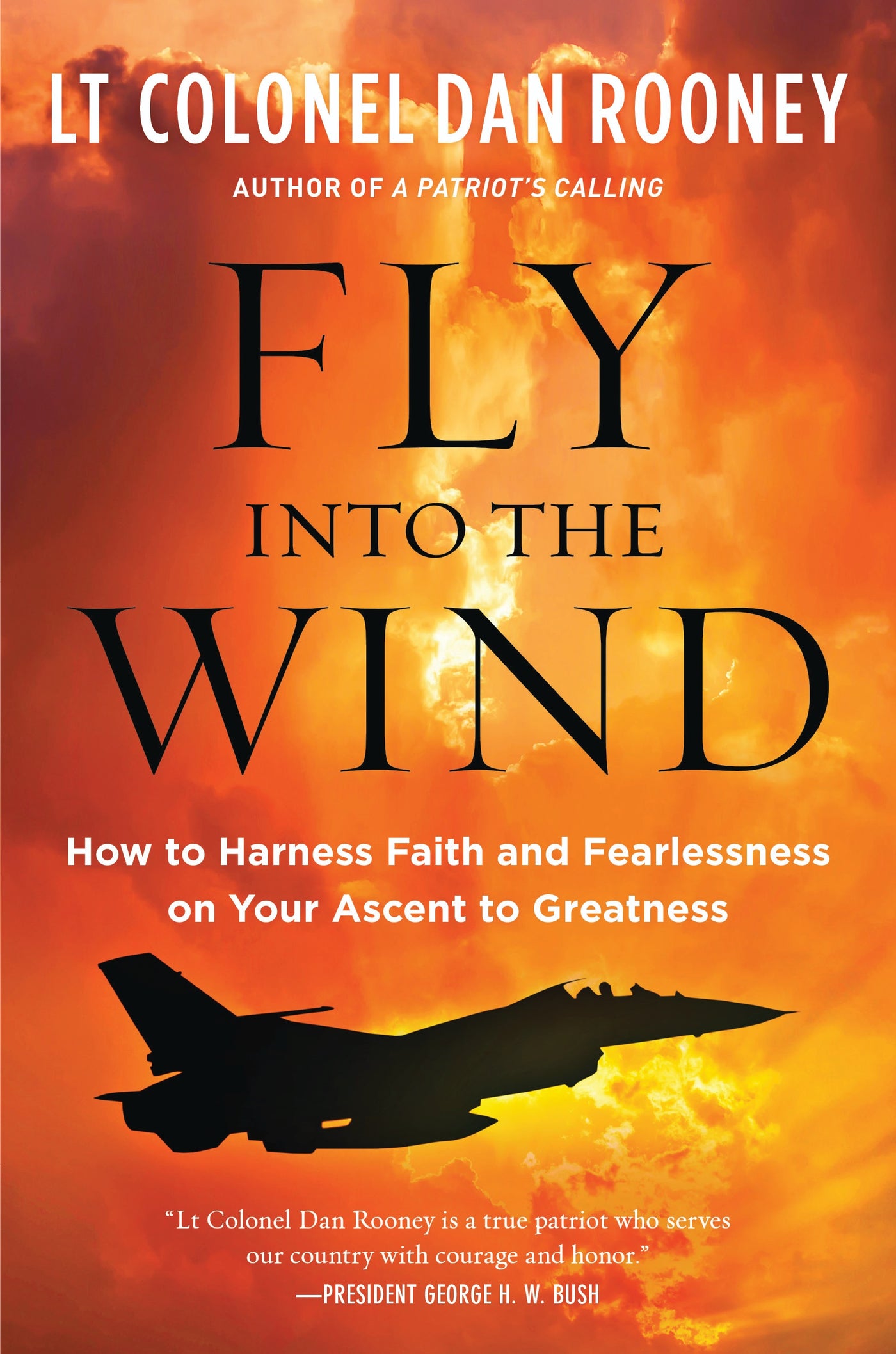 Fly Into The Wind -  By LT Colonel Dan Rooney